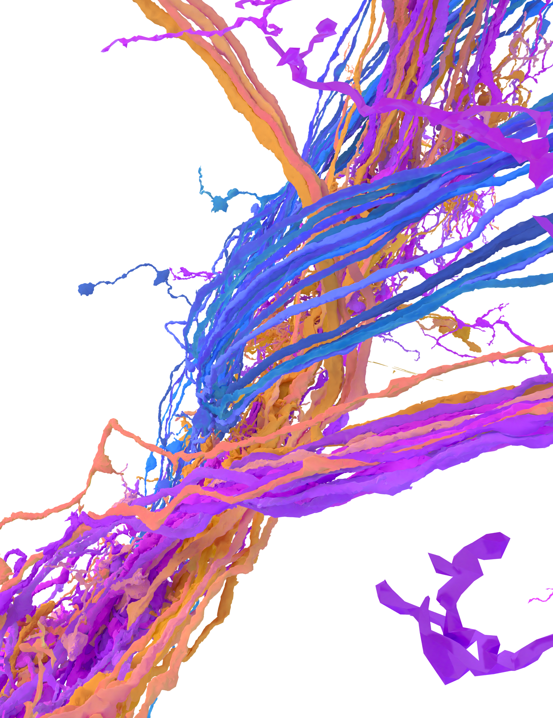 Nature tangle auditory visualization